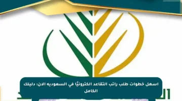 أسهل خطوات طلب راتب التقاعد إلكترونيًا في السعودية الآن: دليلك الكامل